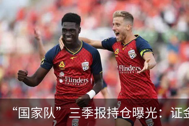 “国家队”三季报持仓曝光：证金重仓中国神华，社保基金增持中金岭南